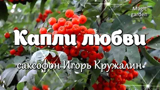 Капли любви - Музыка Николая Каблукова. Саксофон Игорь Кружалин. Красивая мелодия. Музыка для души