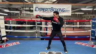 Southpaw Boxing Technique - BASIC JAB