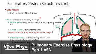 Pulmonary Exercise Physiology Part 1 of 3 - Breathing and Respiration