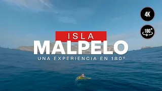 Viva la inmensidad de Malpelo en una experiencia virtual de 180 grados