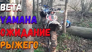 Hard enduro мотоциклы Beta 300 и Yamaha wr250f . Эндуро Тренировка в лесу