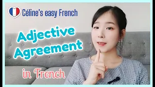 🇨🇵 FRENCH ADJECTIVES - Adjective Agreement Rules - Part 1 (Learn French Lesson 17)🇨🇵