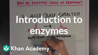 Introduction to enzymes and catalysis | Chemical Processes | MCAT | Khan Academy