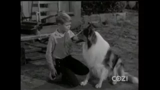 Lassie - Episode #325 - "The Agreement" - Season 10, Ep. 2 - 10/03/1963