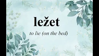 Ležet / Learn Czech verbs with conjugation (past, present and future tense)