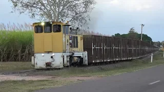 Queensland Sugar Cane Railways, Inkerman Mill, Home Hill