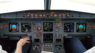 Pilot View from the Cockpit - Full flight including taxii, take off, landing and more #aviation