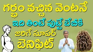 గర్భం వచ్చిన వెంటనే ఇది తింటే పుట్టే బేబీకి జరిగే సూపర్ బెనిఫిట్ | Dr Manthena Satyanarayana Raju