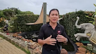 Curing koi pond with excess mucus foam caused by skin parasites, a new treatment using de foam