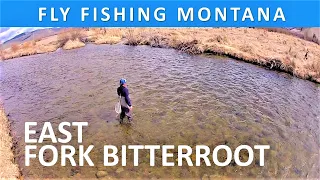 Fly Fishing Montana's East Fork of the Bitterroot River [Series Episode #44]