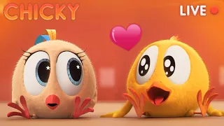 CHICKY 2 🐣 LIVE CARTOON | DIBUJOS ANIMADOS PARA NIÑOS 🔴