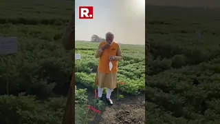 PM Stops By To Have ‘Chana’ At The ICRISAT Farm In Hyderabad | #shorts