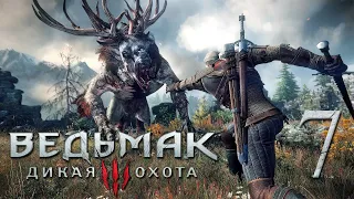 Ведьмак 3: Дикая Охота (The Witcher 3: Wild Hunt). Падение дома Реардон ) # 7