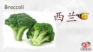 学习中文-常见10种蔬菜名称（2）-Learn Chinese- Common Vegetable Names -中英对照，标准发音