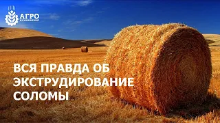 Ответ на частый вопрос, можно ли экструдировать солому?