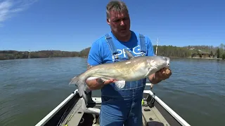 How To Catch A Boat Load Of Spring Catfish