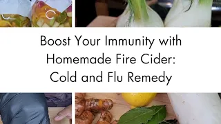 Herbal Remedy | Fire Cider for Cold and Flu