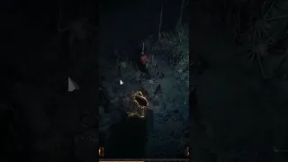 path of exile jumpscare