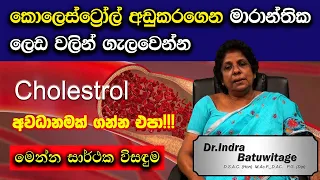 Cholesterol Sinhala | කොලෙස්ටරෝල් | Cholesterol lowering foods - Low cholesterol sinhala | Dr Indra