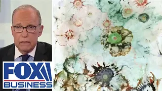 Larry Kudlow blasts Hunter Biden's artwork as 'absolute crap' and 'scam art'