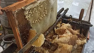 ПЧЁЛЫ 🐝🐝. ПРОЦЕСС ОТКАЧКИ МЁДА.