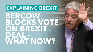 Bercow Stops Meaningful Vote on Johnson's Deal (What Now?) - Brexit Explained