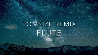 New World Sound & Thomas - Flute (Tomsize & Simeon Festival Trap Remix) (Bass Boosted) (Stoned Edit)