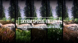 Skyrim SE - Grass Mod Comparison with Velvet Reshade 2023