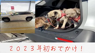 RAV4で行け　第２弾！