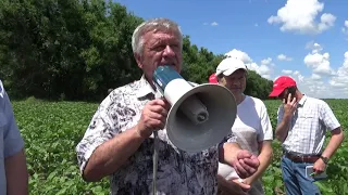 Поля хозяйства ООО «Урожайное». Опыт выращивания гороха, подсолнечника, льна.  «No-tillExpo 2021»