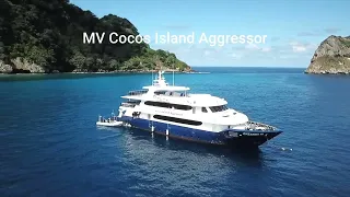 DIVING COCOS ISLAND COSTARICA-2024-MV AGGRESSOR