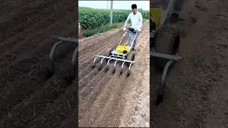 Three Simple Garlic Farming Tools #satisfying #shot