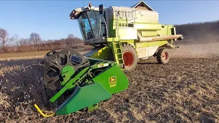 CLAAS MEGA 208 молотим сою 23.01.2023