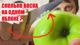 СКОЛЬКО ВОСКА НА ОДНОМ ЯБЛОКЕ ?