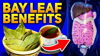 7 Reasons to Drink Bay Leaf Tea Daily (Bay Leaf Benefits)