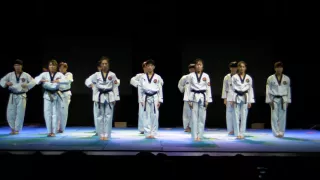 Korean Taekwondo Tigers - Belgrade 2016