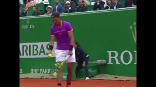 Bird interrupts Rafael Nadal tennis match by flying on court during Monte Carlo Rolex Masters