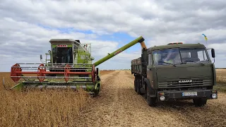 Закінчили молотити сою 🫛 Claas Dominator 86.