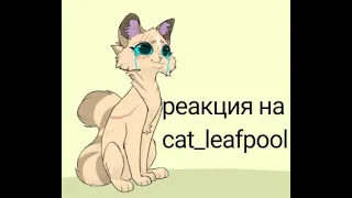 реакция на cat_leafpool  коты воители  реакция на..#возрадимрукв #котывоители