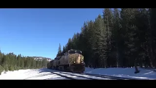 Snowy Mid-Winter Railfanning on the Hill: Union Pacific and Amtrak Trains Climb Donner Pass