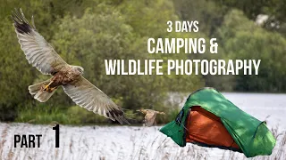 Wildlife Photography & Camping | 3 Days in The Avalon Marshes, Somerset Levels | Part 1