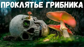 Страшная история. Проклятье грибника.