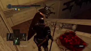 Dark Souls-The Purge of Anor Londo