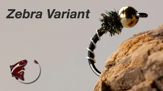 Zebra Variant