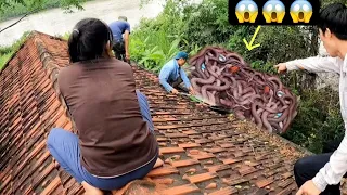 The Girl Who Was Rescued From the Violent Snake on Her House Roof Say Thank God | Mike Vlogs