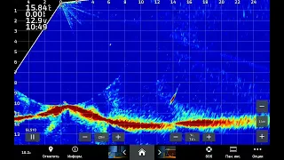 Zander attack/Поимка судака #livescope #fishing #panoptix #neptunfishinglv