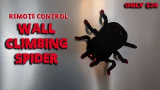 Remote Control Wall Climbing Spider | Great for Halloween!!!