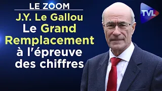 Les preuves du Grand Remplacement - Le Zoom TVL