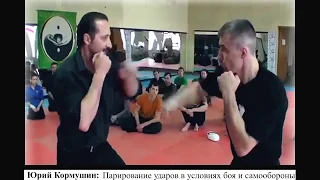 Yuri Kormushin. Parrying strikes in combat and self-defense.