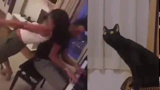 A pervert cat reacting to Khatia Buniatishvili twerking to her husband